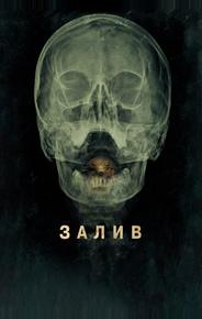 Залив
