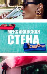 Мексиканская стена