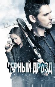 Черный дрозд