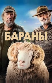 Бараны