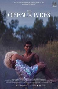 Пьяные пташки