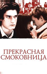 Прекрасная смоковница