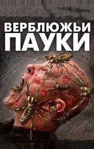 Верблюжьи пауки