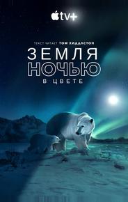 Земля ночью в цвете
