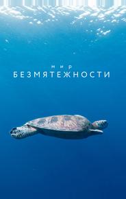 Мир безмятежности